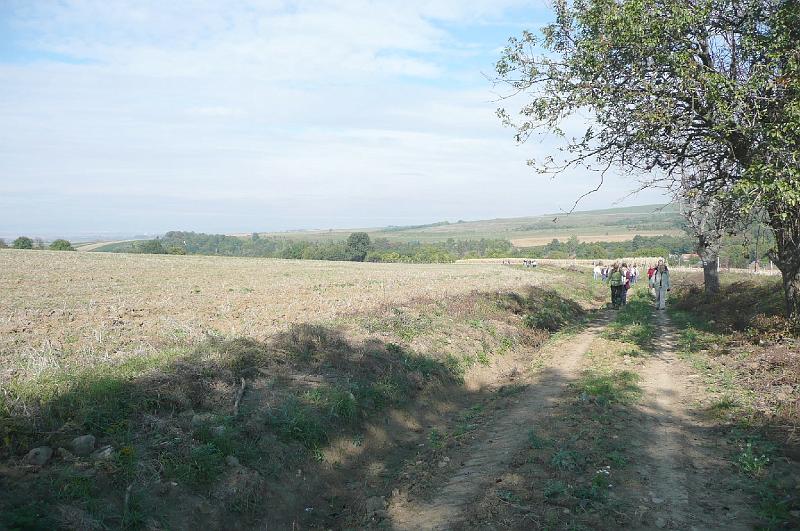 20121013 075.jpg